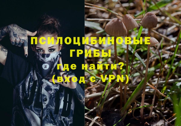 первитин Абинск