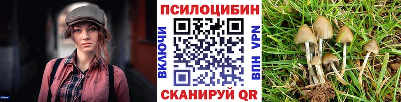 Псилоцибиновые грибы MAGIC MUSHROOMS  Людиново 