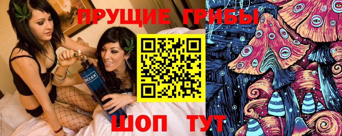 Псилоцибиновые грибы Magic Shrooms  Вход с VPN  Людиново  Псилоцибиновые грибы GOLDEN TEACHER 