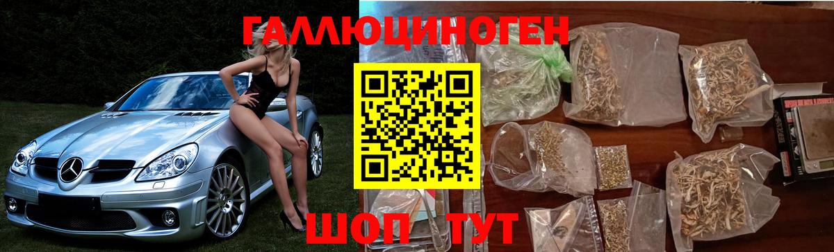 Псилоцибиновые грибы Psilocybe Людиново
