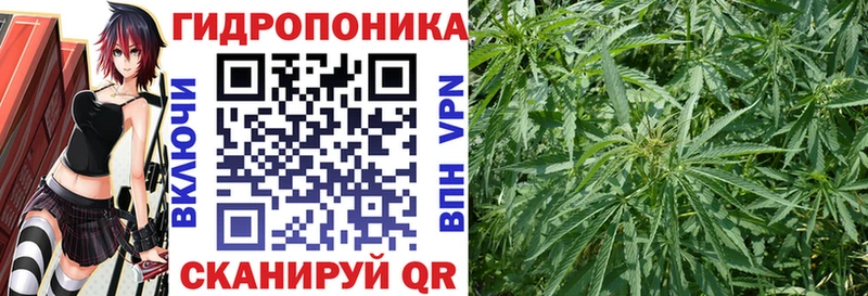 Бошки Шишки OG Kush  Людиново 